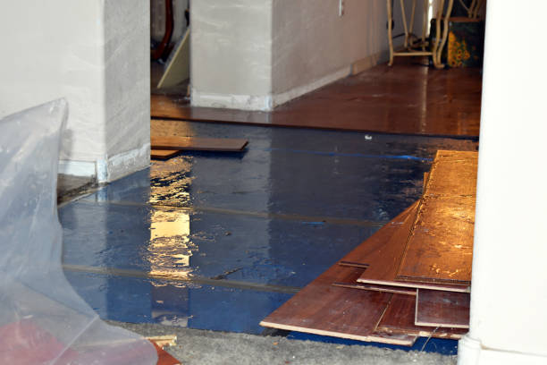 Professional Basement Flood Cleanup technician working in Grays River, WA